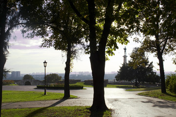 Fototapeta premium park