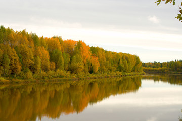 autumn landscape