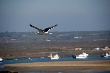 gleitflug in andalusien