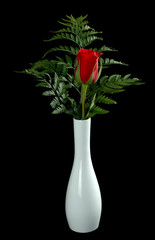 Obraz premium single red rose