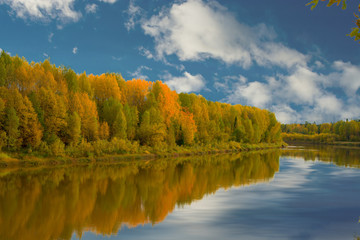 autumn landscape