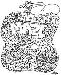 intestine maze