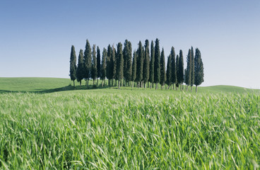 toscane2