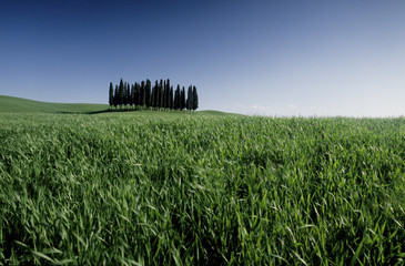 toscane4