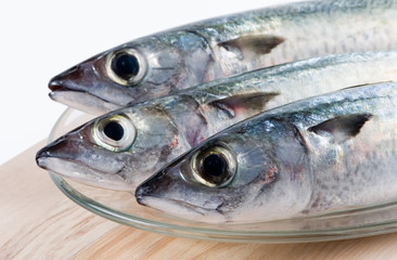 fresh fishes