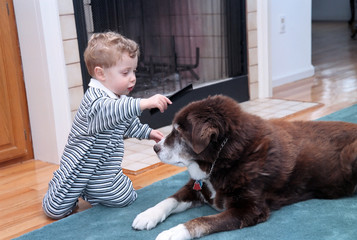 boy and dog