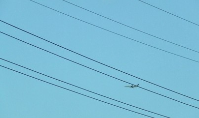 airplane in flight
