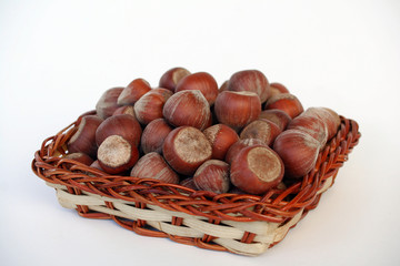 hazelnut