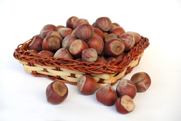 hazelnuts 3