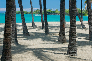 tropical beach