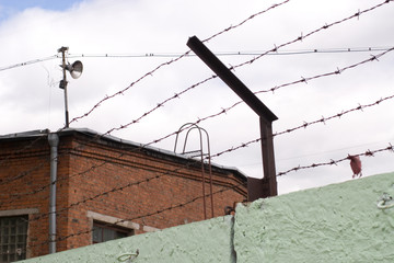 prison's wall