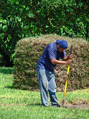 shoveling