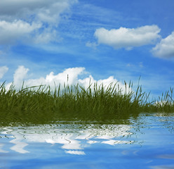 Obraz premium background of grass and blue sky
