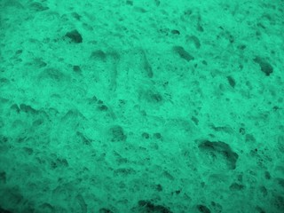 green sponge