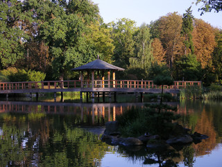 Obraz premium japanese garden