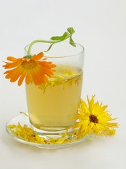 marigold herb tea