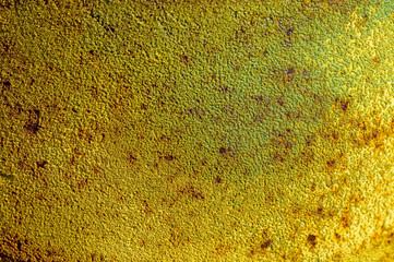 yellow rust
