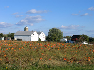 amish farm