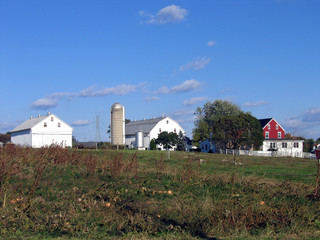 the farm