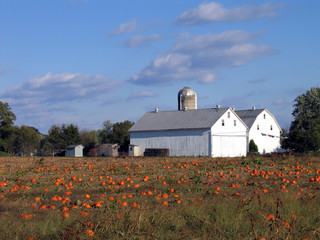 twin barns