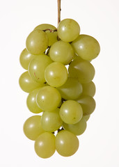 racímo uvas