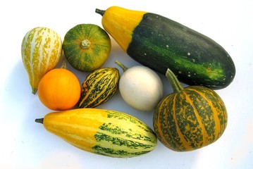 gourds