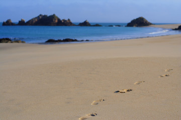trace sur une plage