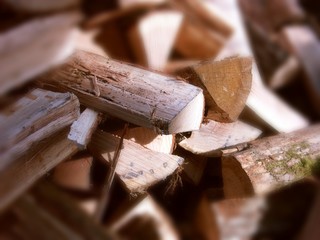 bois de chauffage