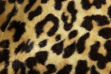 leopard print