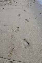 Fototapeta na wymiar footprints on beach