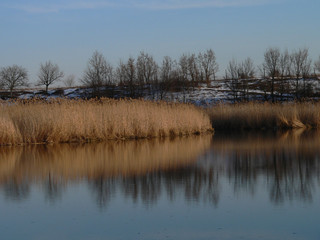 sunset on behind the reeds