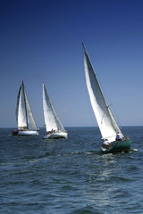 Fototapeta premium start of a sailing regatta