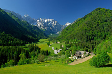 spring in alpine valley