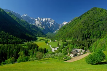 Photo sur Plexiglas Printemps spring in alpine valley