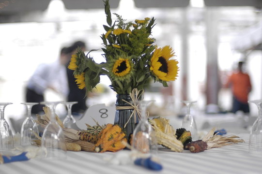 sunflower setting