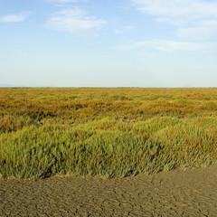 Obraz premium assèchement d'un étang