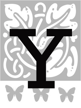 the letter y
