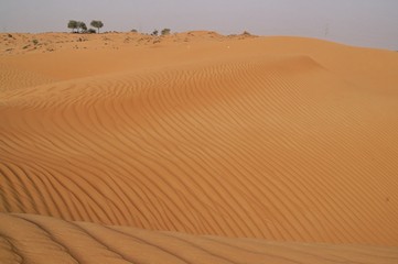 desert9