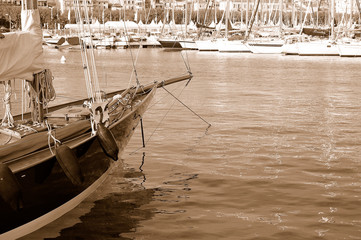 port de cannes4