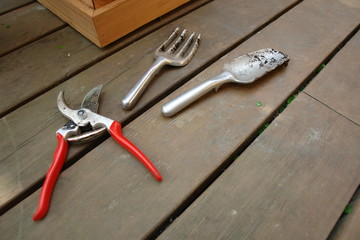 hand pruners