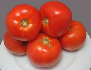 fresh tomatoes
