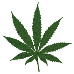 cannabis