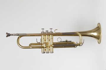 Fototapeta na wymiar trumpet 2