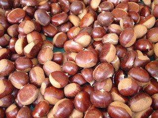 chataîgnes