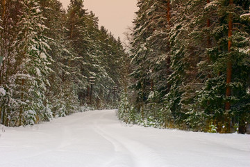 winter road