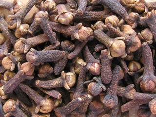 0488-clous de girofle