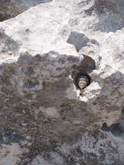 tiny beach hideaway2