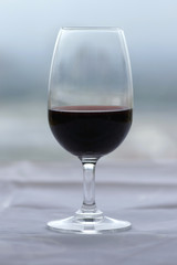 glass of port wine against muted green/grey