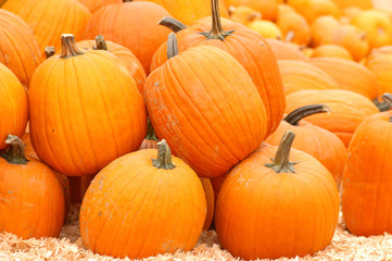 huge pile of pumpkins