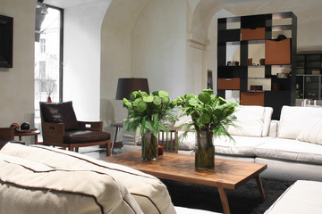 white sofa in interior